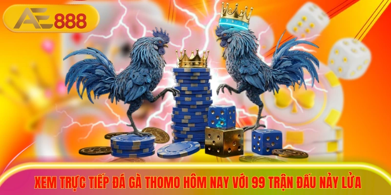 Xem Trực Tiếp Đá Gà Thomo Hôm Nay Với 99 Trận Đấu Nảy Lửa Xem Trực Tiếp Đá Gà Thomo Hôm Nay Với 99 Trận Đấu Nảy Lửa